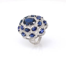 Oval Sapphire Encrusted Ring (11.34 ct)