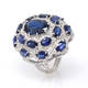 Oval Sapphire Encrusted Ring (11.34 ct)